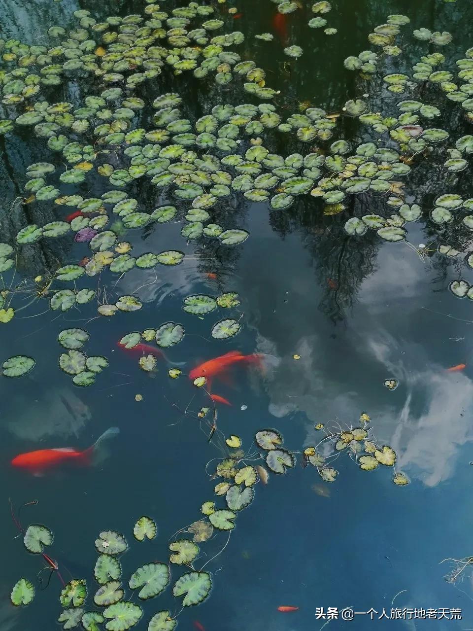 江苏这个“快乐”的城市,颜值不输苏杭,连苏东坡都在这养老