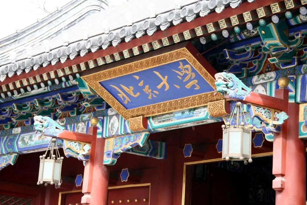 人才培养基地牌子,拔尖人才培养19所高校