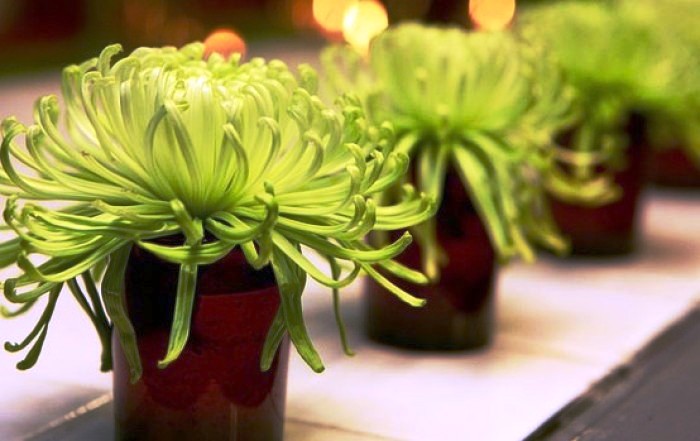 心灵鸡汤经典语录短句正能量,经典走心的心灵鸡汤语录句句精辟