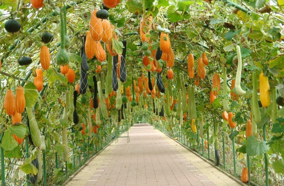 生态农业行业平台网,生态农业平台招商