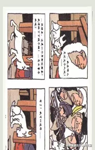 丁丁和丁丁历险记论文,丁丁历险记丁丁的服装