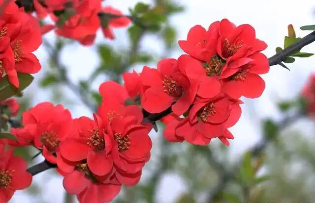 老北京俏皮话歇后语,老北京典故及歇后语