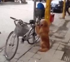 开心一刻gif搞笑动图,搞笑gif段子看起来能量满满