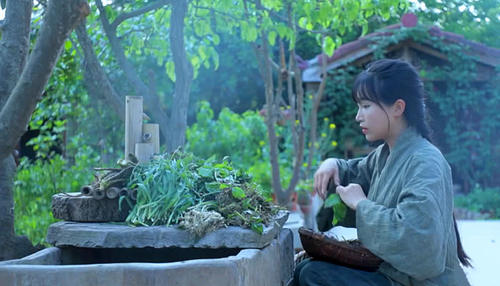 李子柒一岁辍学,李子柒七岁辍学31岁身价过亿