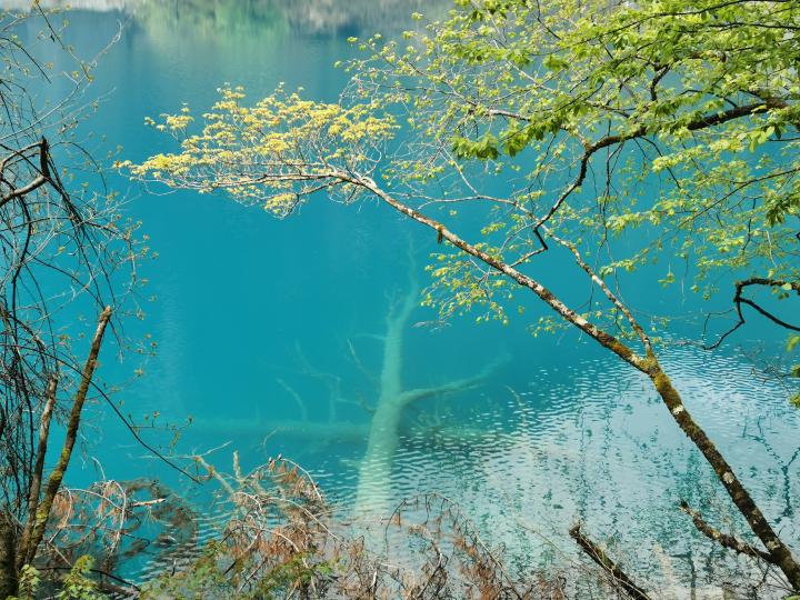 购物团如果不买东西该怎么办,参加购物团却不买东西