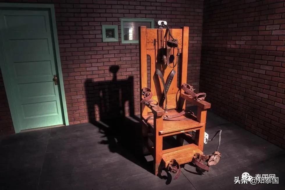 “变性人打狗”泰国热搜?比灾难更可怕的是灾难中现形的人心险恶