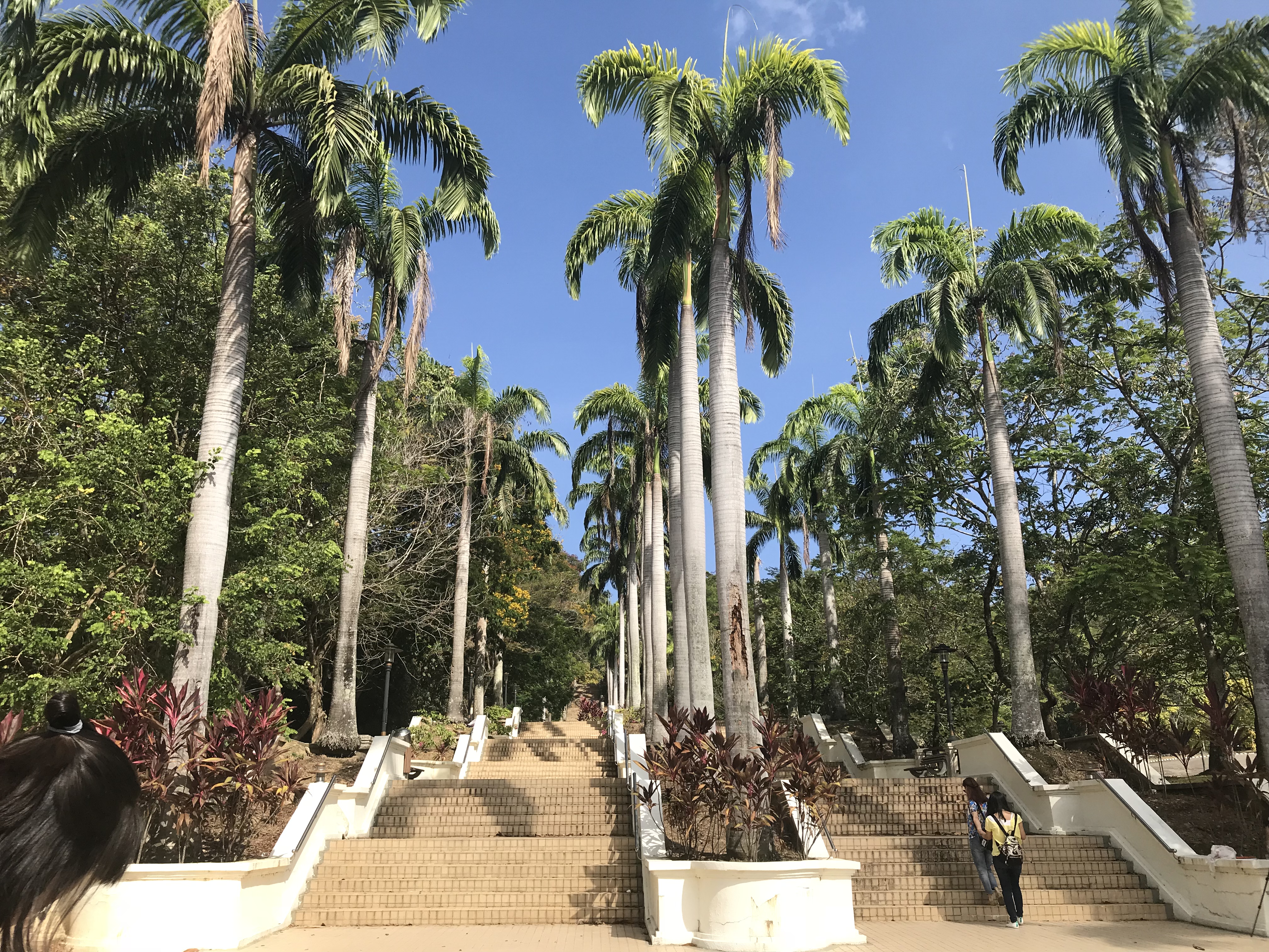 马来西亚沙巴旅游攻略详细,马来西亚沙巴好玩不