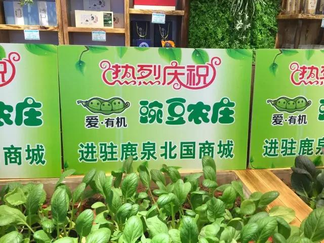 本可以靠脸吃饭却要靠力气吃饭,本来可以靠脸吃饭偏偏靠手艺