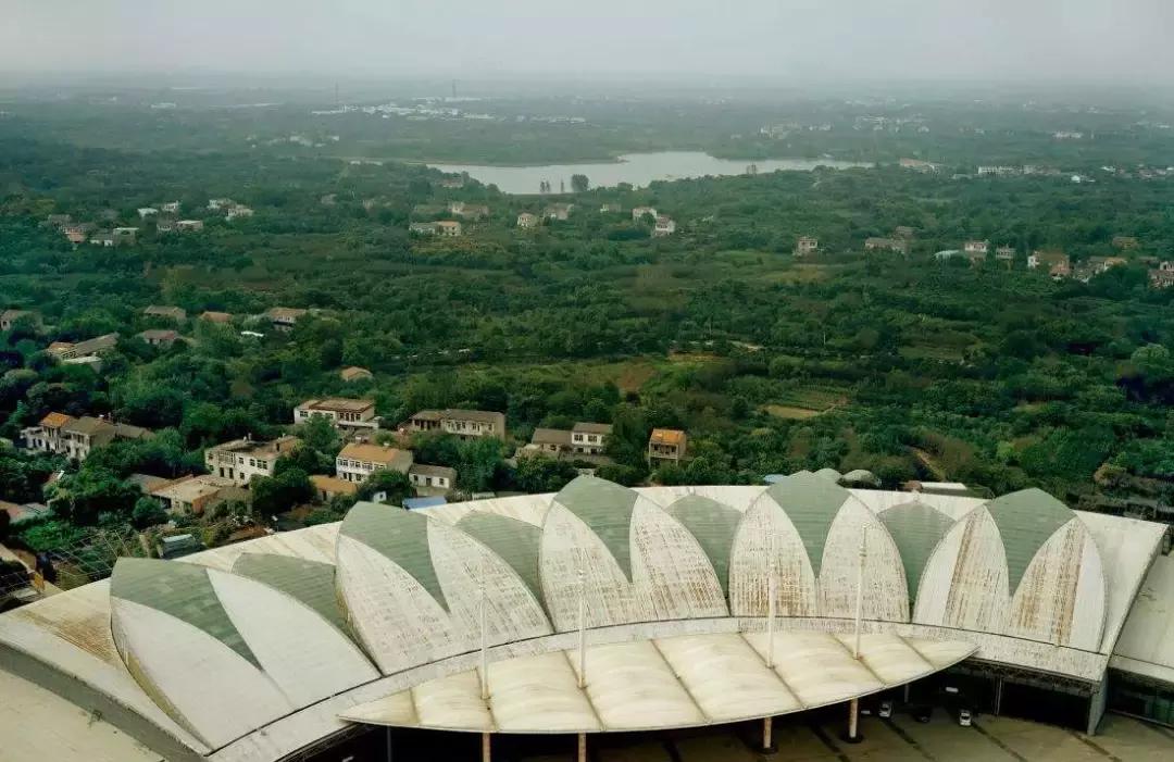 全国花木之乡在哪里,中国十大花木基地