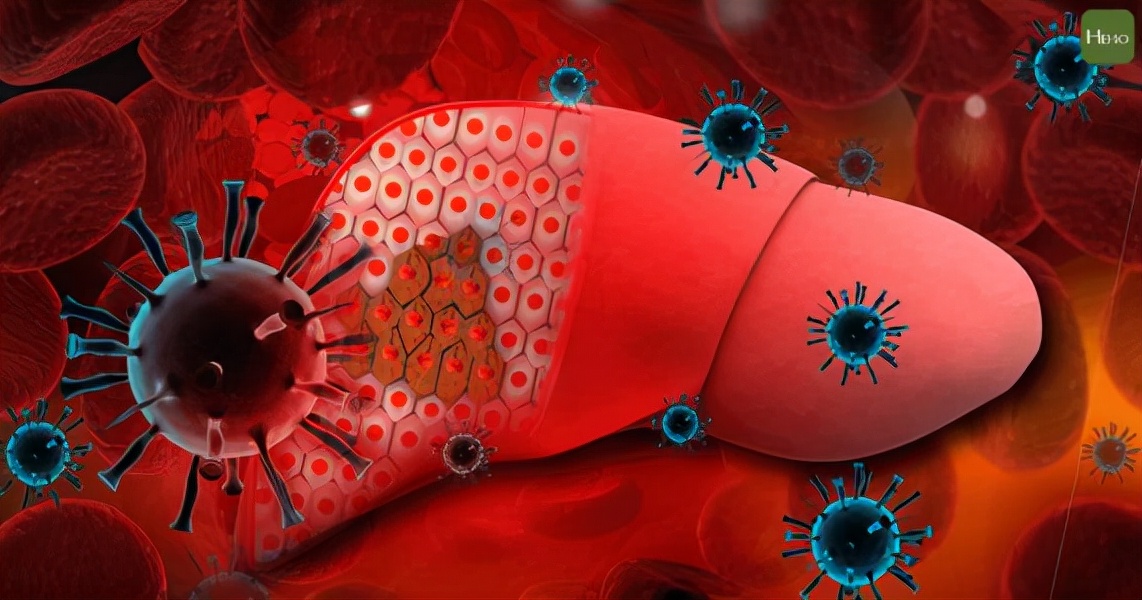 乙肝患者可以吃牛羊羊肉吗,乙肝患者为什么不能吃羊肉