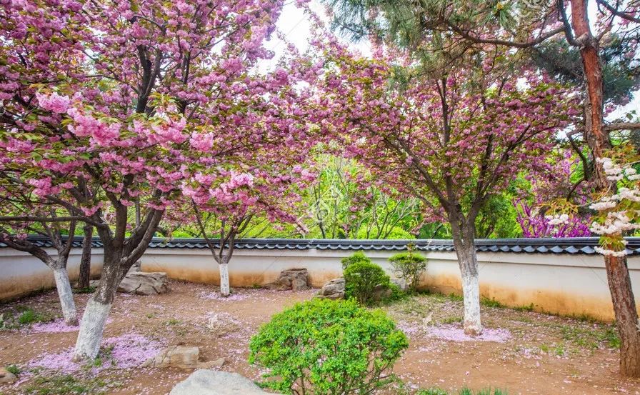 济南适合带孩子去的地方春天,周末遛娃的好去处好玩又免费济南