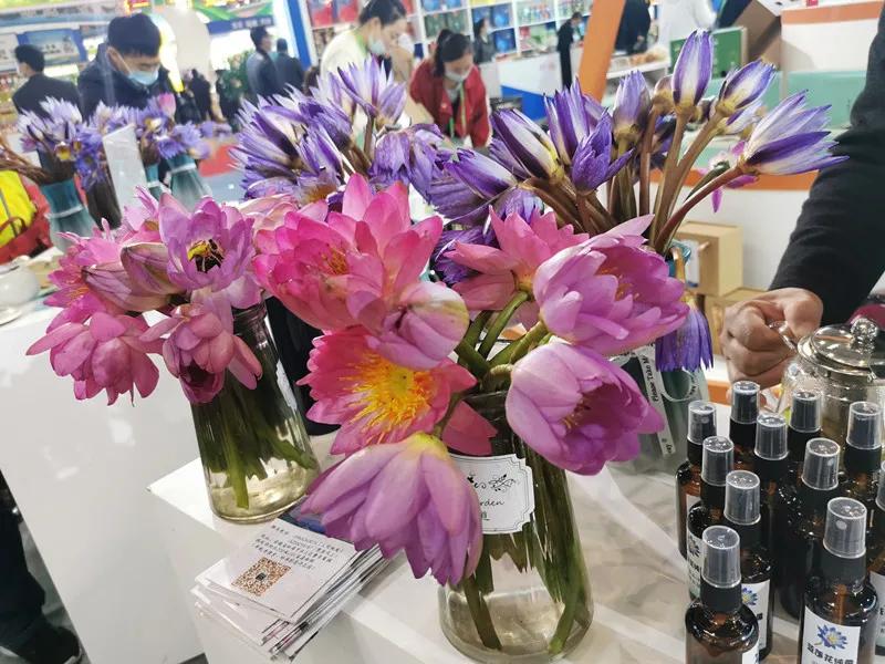 合肥农交会2023,合肥农交会的东西怎么样