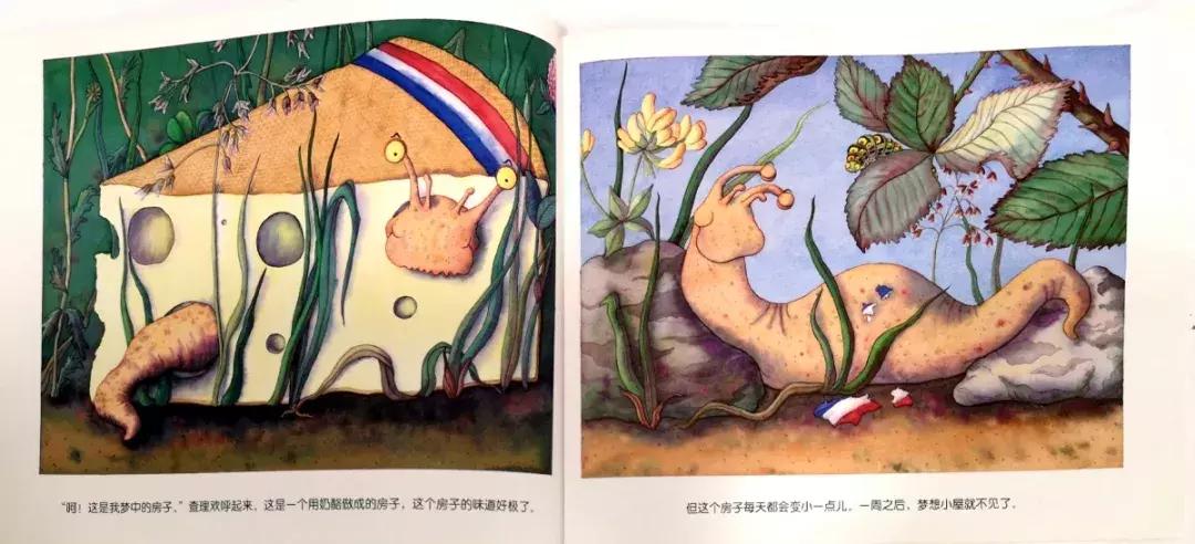 蜗牛躲在小房子里不出来怎么办,没有蜗牛壳的蜗牛是怎么回事