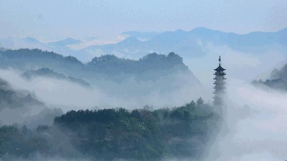 深圳到普陀山自驾游攻略最佳路线,2020普陀山奇异景象