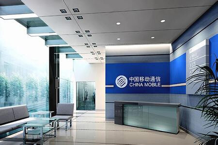 中国移动官方19元月租185g流量,中国移动官方19元月租110g流量