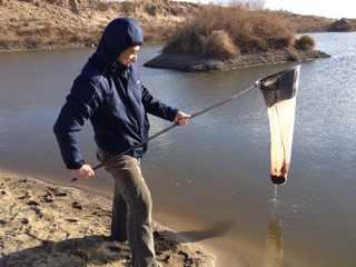 虫虫鱼怎么存放最好,正确的鱼虫饲养方法