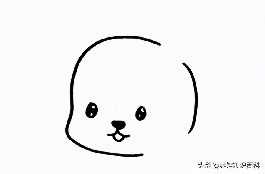小兔子怎么画可爱卡通简单,小兔子怎么画简单又可爱视频教程