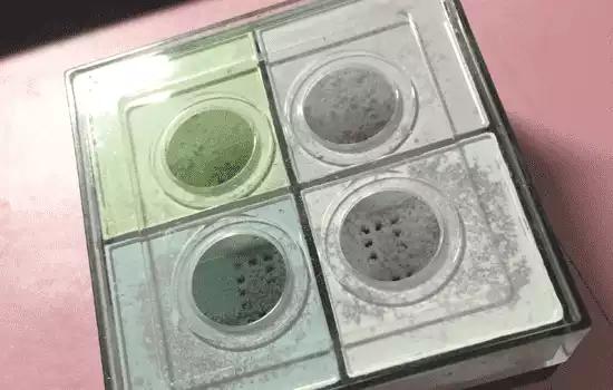 纪梵希四宫格散粉真假,纪梵希四宫格散粉珠光