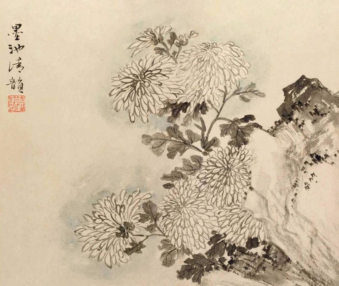 秋菊怎么画简单,秋菊花图片怎么画