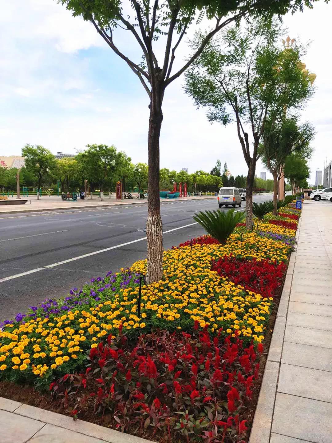 中国“最强最美”的四线城市，名气比肩新一线，非常受游客欢迎