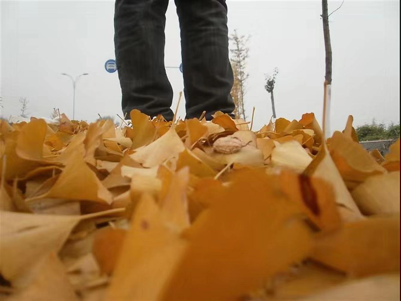 负能量请滚出我的圈子,远离办公室负能量的人