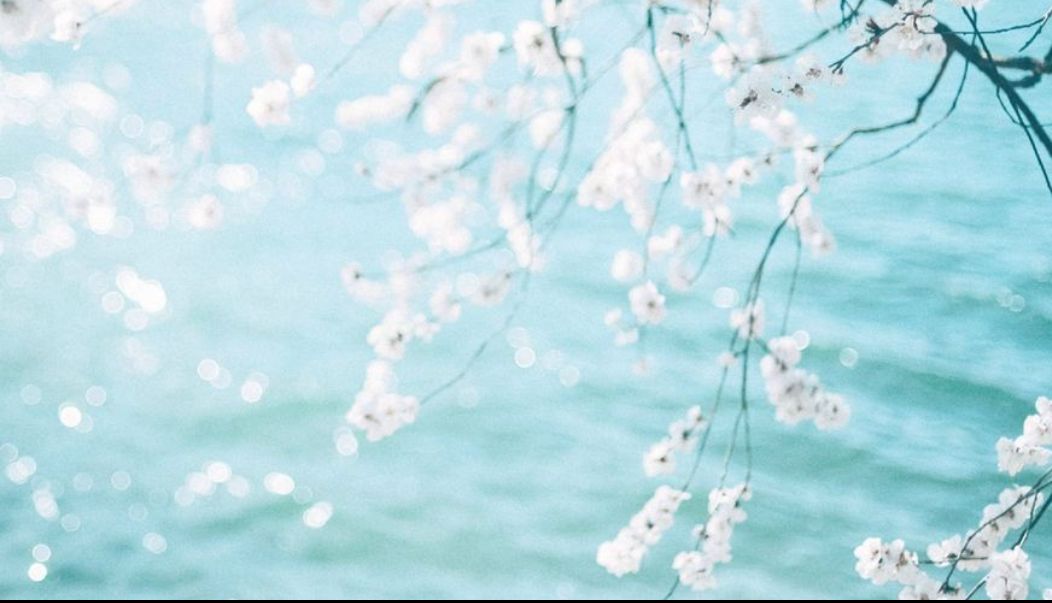 每天都情绪低落该怎么办,经常心情低落没精神怎么办