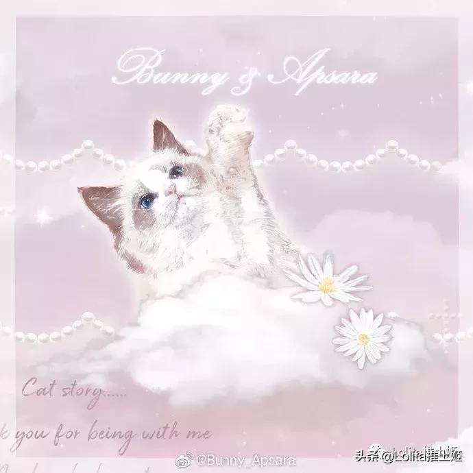 lolita撸猫,lolita撸猫猫