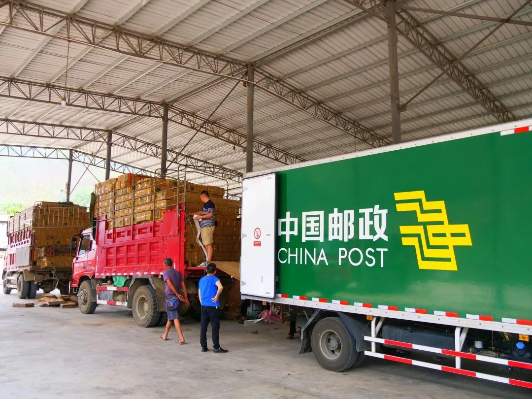 乡村振兴电商扶持政策,农村电商乡村振兴扶持政策