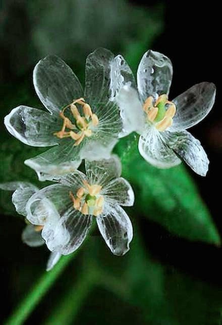 20岁才恍然大悟要自己爱自己,二十岁应该要学会爱自己