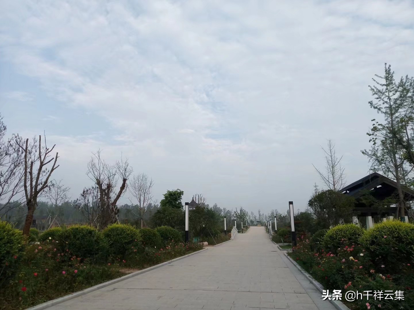 我的家乡商丘夏邑,夏邑又多一处美景有山有水还有花