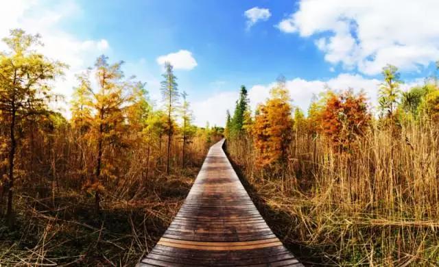 上海的魅力在什么地方,上海十六个区哪个区最好