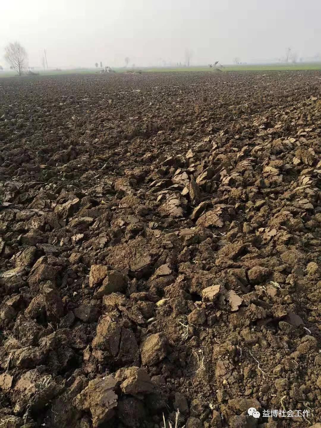 王玉日常生活视频,王玉的日常生活视频