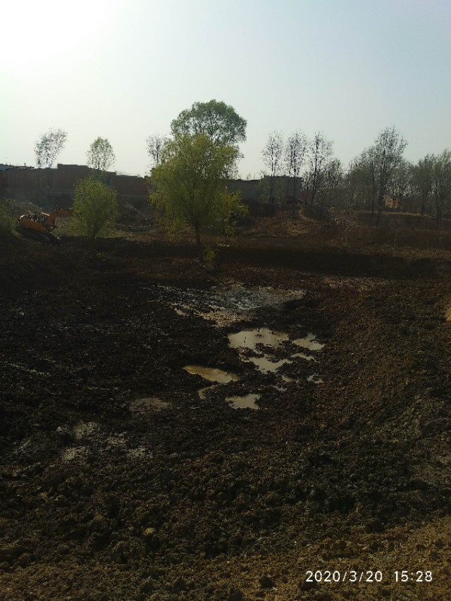 河北邢台环境,邢台环境好吗