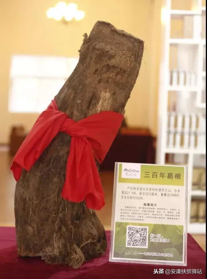 安康市十大杰出青年名单,安康十大杰出青年