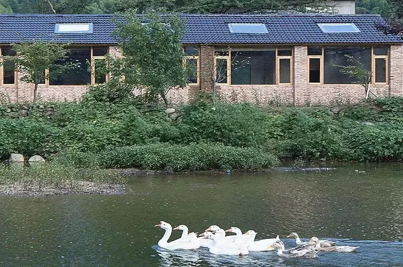 乡村振兴特色文化案例分享,关于乡村振兴比较有创意的点子