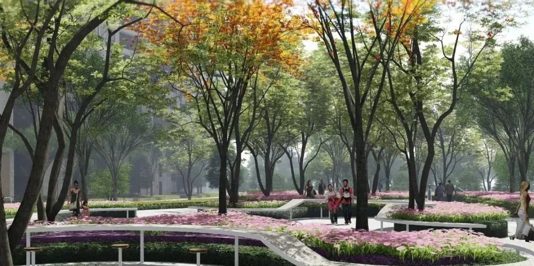 销许已领！30839万/平！南京主城热盘紧急报名！选房攻略来了