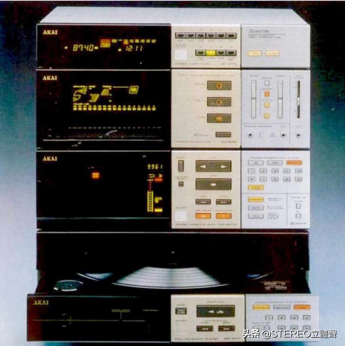 她们都很美全文免费阅读,他们都很美丽原版