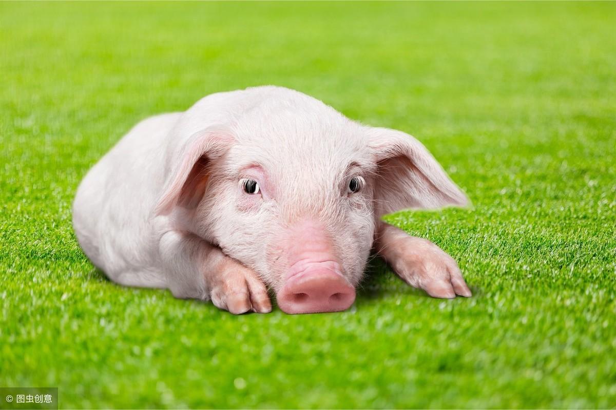 超度收费30万靠谱吗,超度真实事件