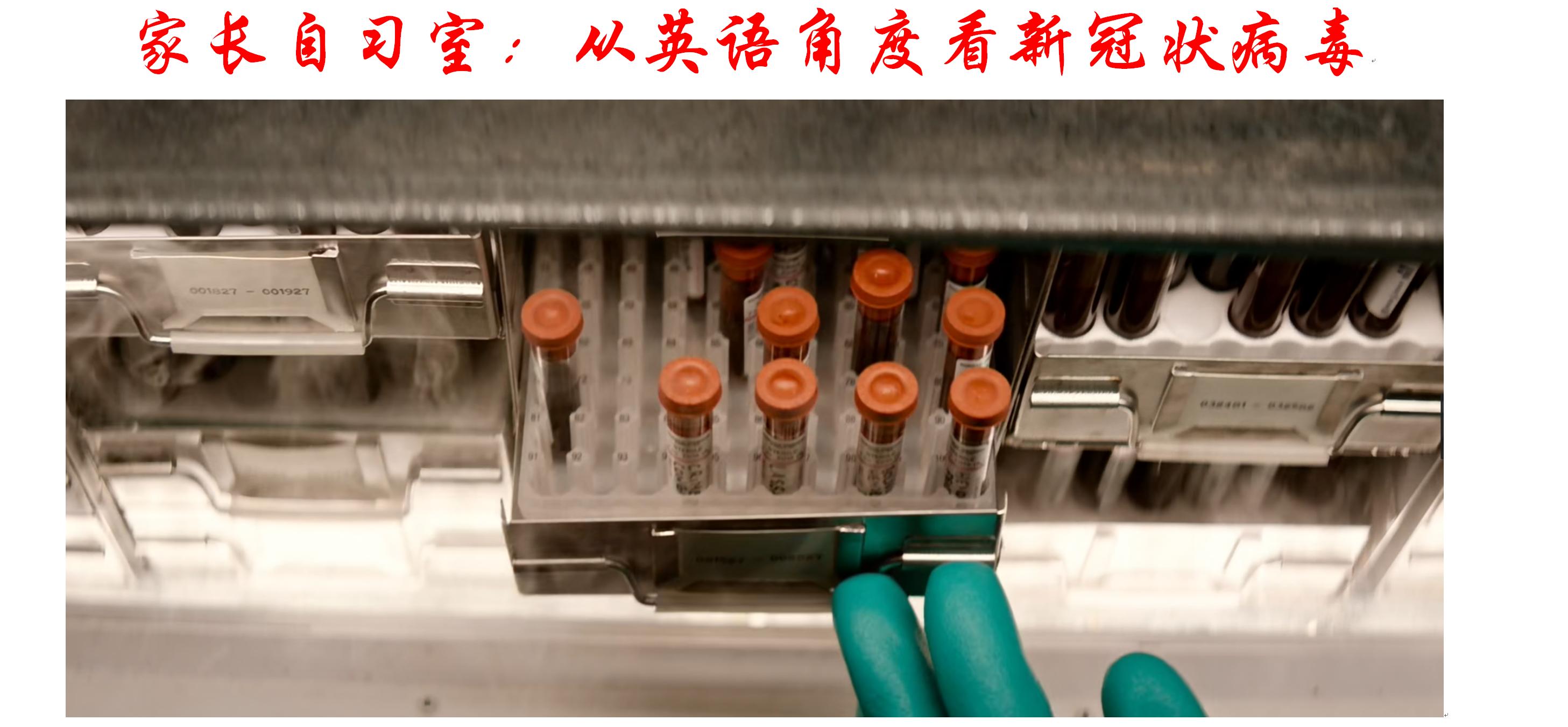 认识英文字母单词视频,insect英语单词快速记忆