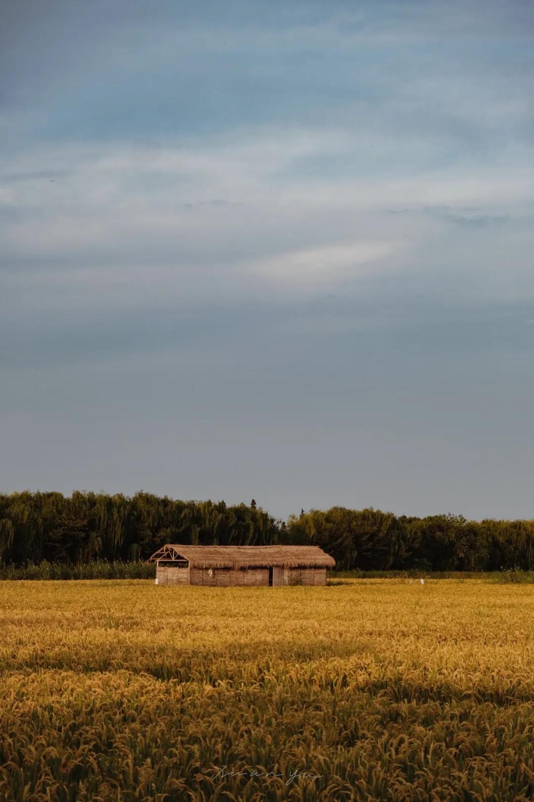 距离杭州45min的县城，竟藏着个“小新西兰”，趁人少快去