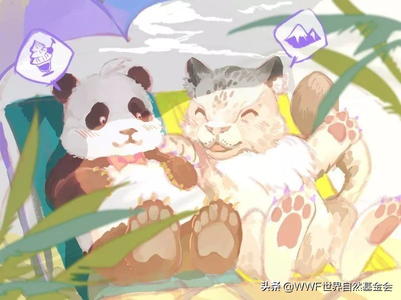 如何品味普洱茶,如何品味一杯红茶