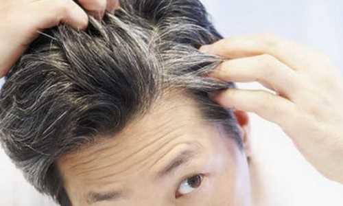 黑米芝麻黑豆生发,吃黑芝麻可以养发生发吗