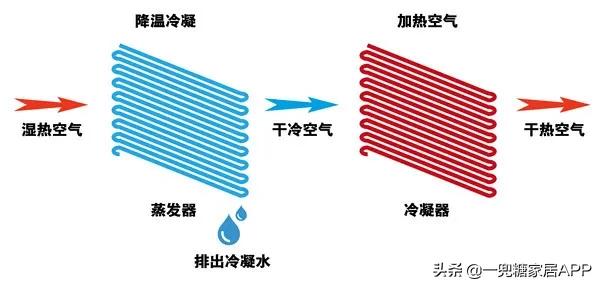 躲避回南天如何装修,南方回南天用什么除湿机