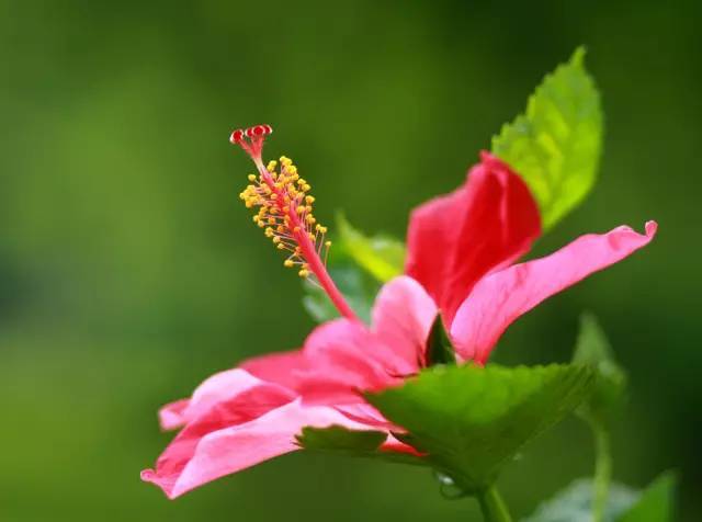 男子深夜去女子家不走,被堵怎么脱身