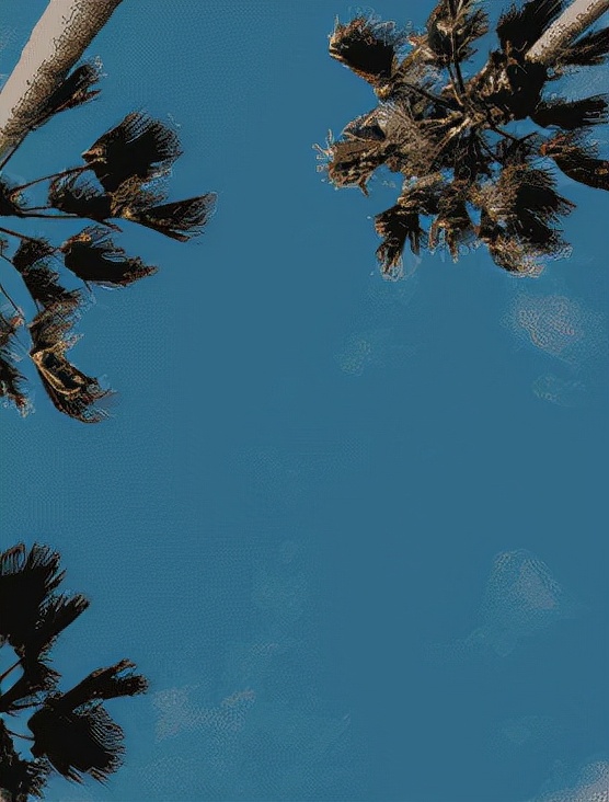 为什么别人的大腿那么瘦,为什么她们的腿都那么直