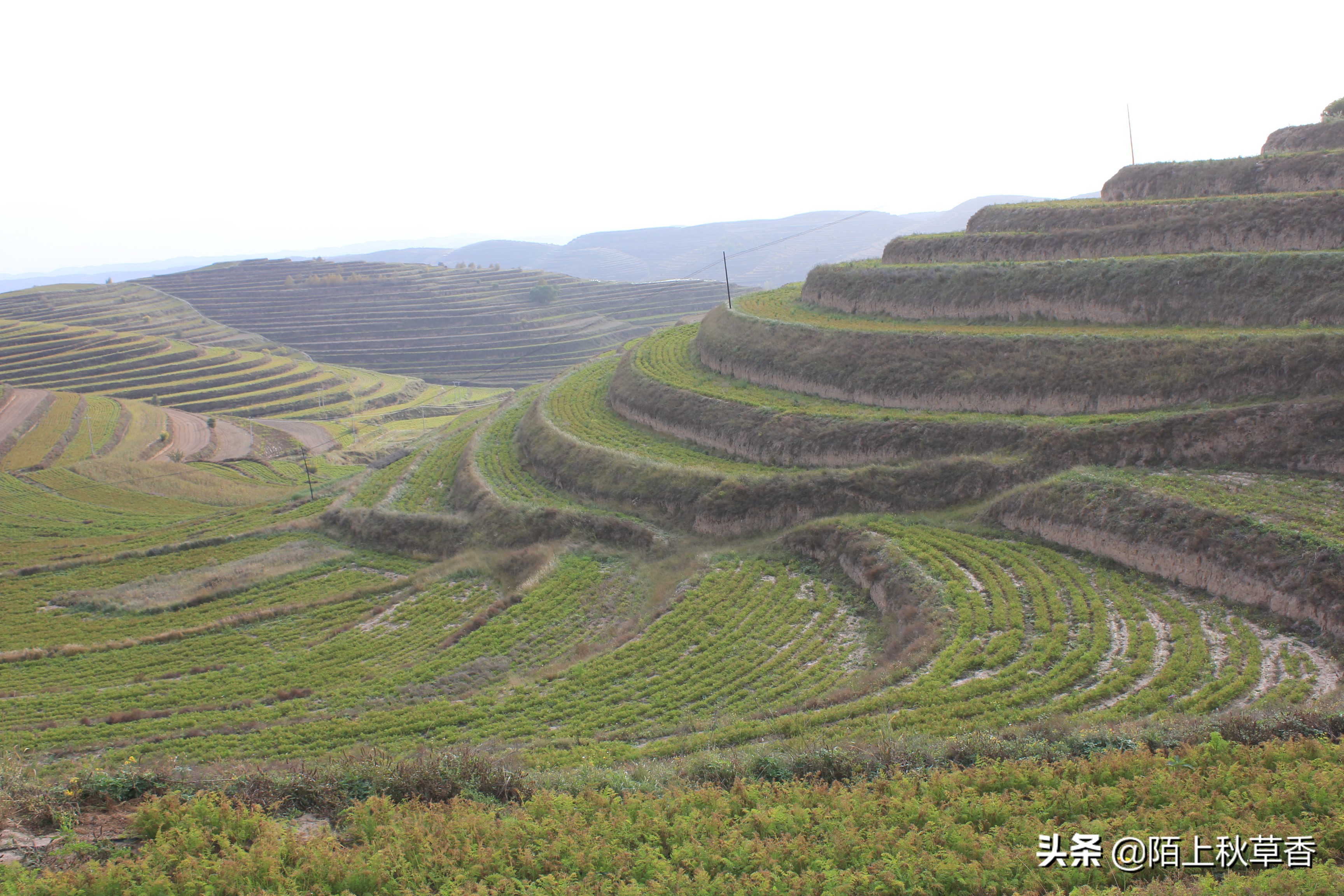 因为小吃爱上一座城,自驾游固原带什么吃的最好