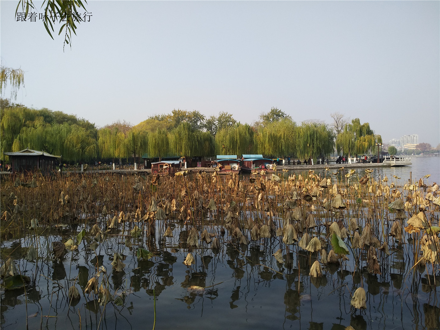 大明湖南丰祠,大明湖南丰祠有什么