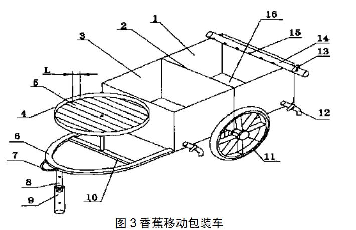香蕉高产的施肥方法,香蕉种植高产秘诀