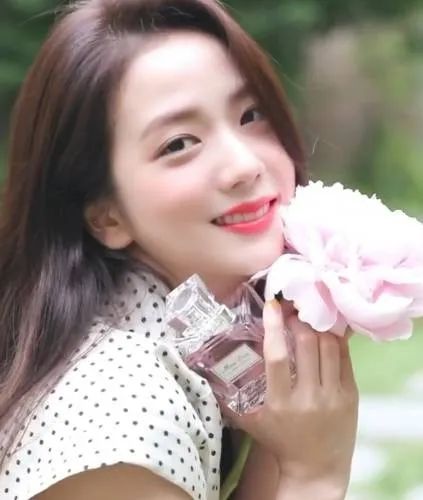 blackpink韩国爱豆粉丝,blackpink的韩国明星粉丝