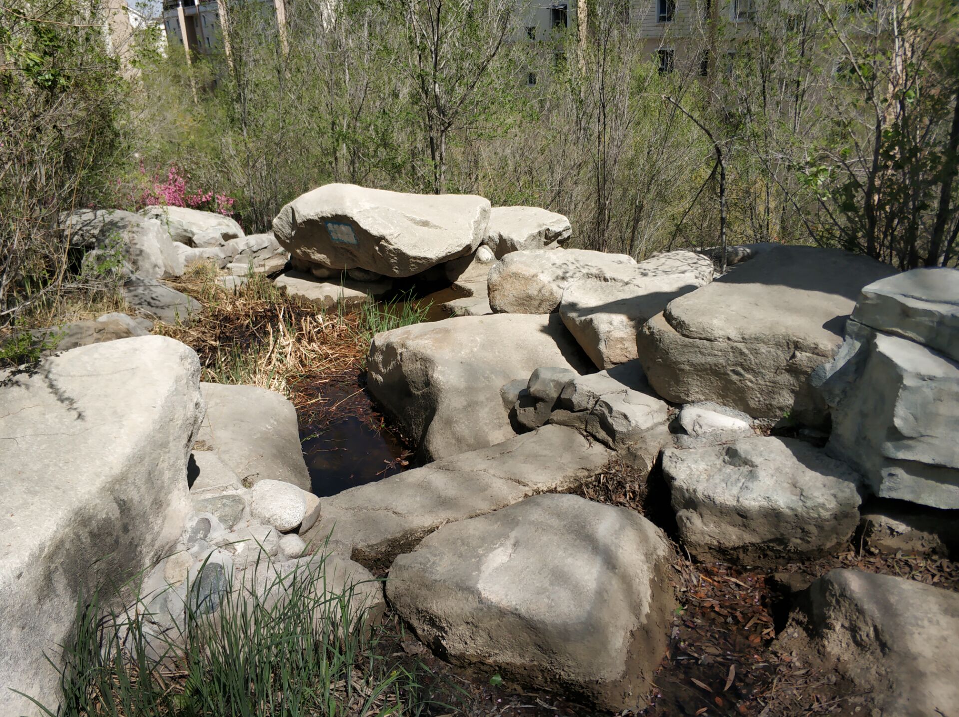 乌鲁木齐居然有这么漂亮的地方,乌鲁木齐周边森林公园在哪里